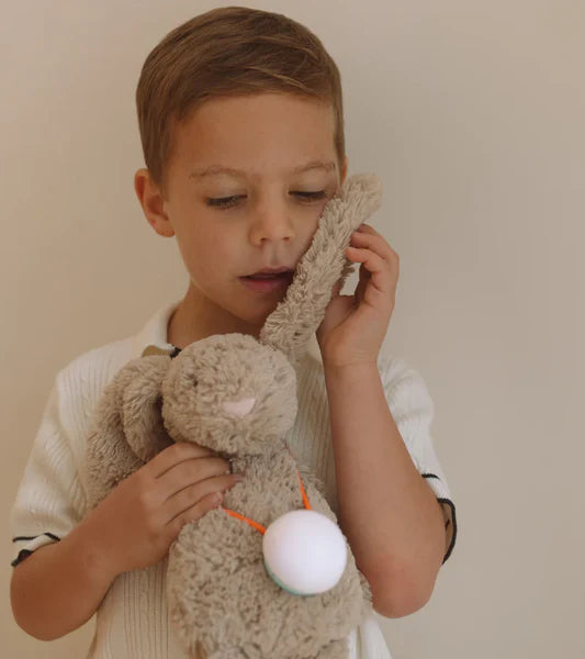 TeddyTalk®
