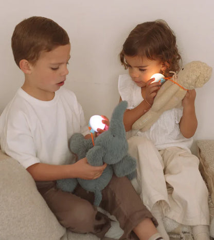 TeddyTalk®